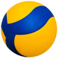 Volleyball Size 5 | Soft Touch Indoor Match & Training Ball